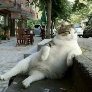 Luis Miguel Miguez Barallobre